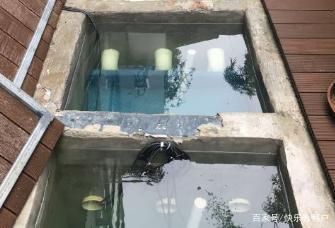 源水处理是养殖的“生命源泉”，消毒措施：臭氧的作用你知道吗？